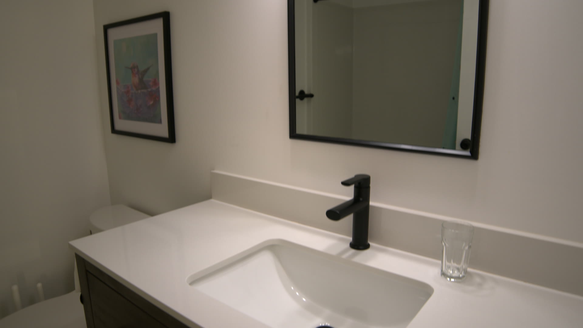 Bathroom vanity with a black tap, the hummingbird print